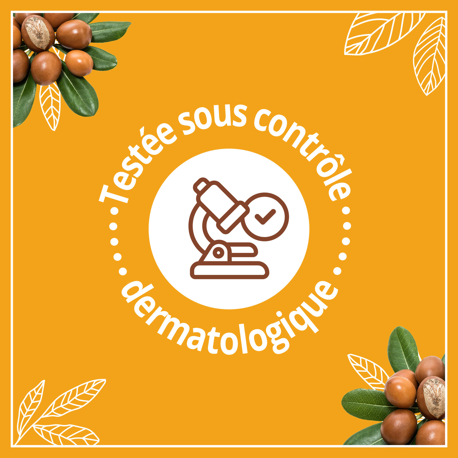 03574661365305_A3NG_s03