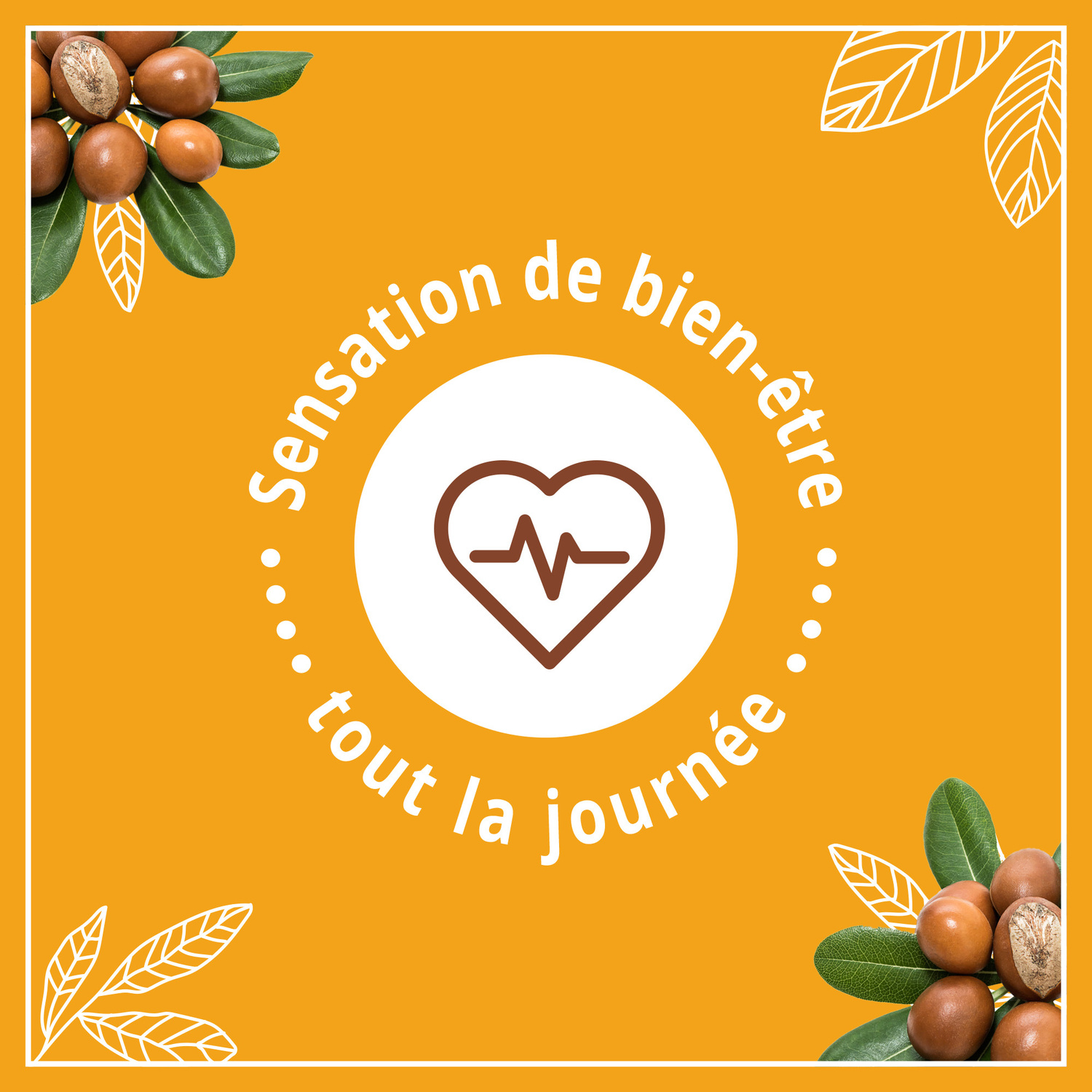 03574661365305_A7NF_s04