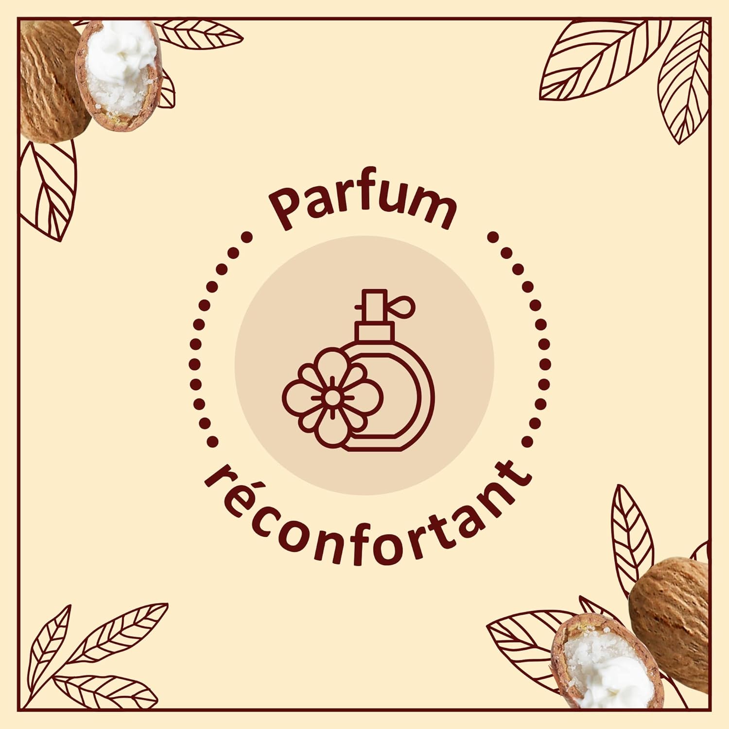 71nT8R9P2kL._AC_SL1500_