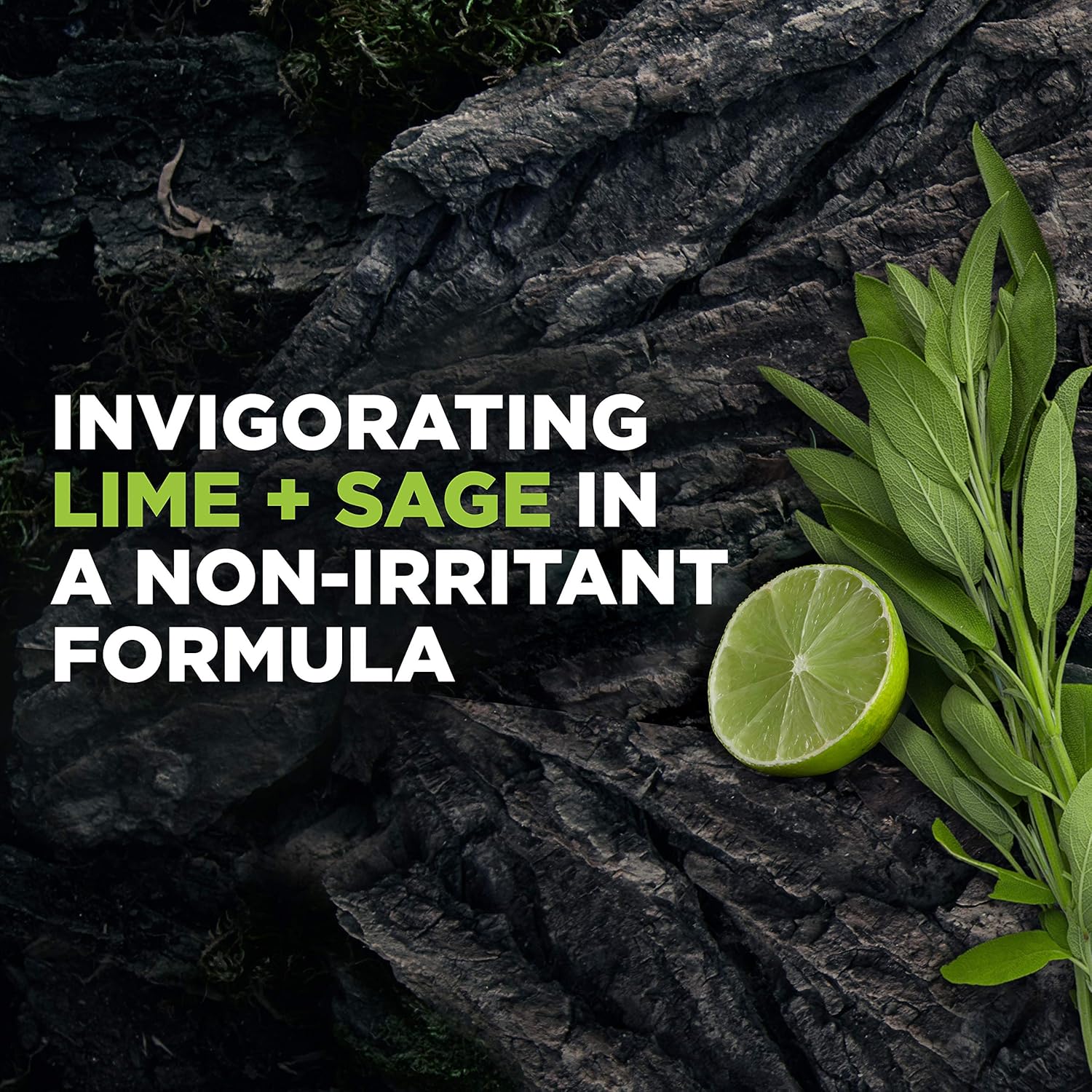 91T2h9r1fIL._SL1500_