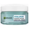 garnier-skinactive-hyaluronic-aloe-night-jelly-moisturizer-50-ml-1118-593-0050_2_cropped